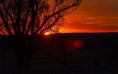 Güneş doğuyor. Gün batımı. Ormanın üstünde. Avrupa 'nın merkezi şeridi. Yılın ilkbaharı. gündoğumu, doğumu, yükselişi