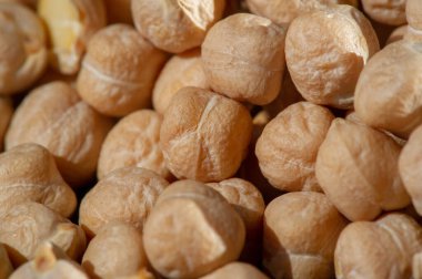 Nohut. Çeşitli çeşitleri gram, Bengal gram, garbanzo fasulyesi ve Mısır bezelyesi olarak bilinir. Nohut tohumları protein açısından zengindir. Bu ilk ekilmiş baklagillerden biridir.