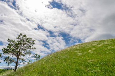Bahar fotoğrafçılığı, çayırlar, tarlalar, vadiler, tepeler, kırsal alanlar. Dik yamaçlı, derin ve dar bir vadi. Doğal olarak yükseltilmiş bir arazi, bir dağ kadar yüksek ya da sarp değil.