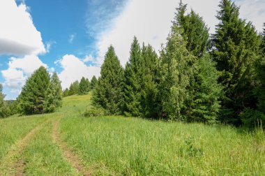 Yaz fotoğrafları, tepeler, tepeler, huş ağaçları dağların yamaçlarında yetişir. Yamaç boyunca dönen toprak bir yol, sıcak yaz günleri.