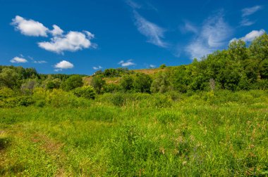 Yaz fotoğrafı. Sel ovaları (veya sel ovaları), nehir kıyısında mevsimsel sellere eğilimli bir çayır ya da çayır alanıdır.