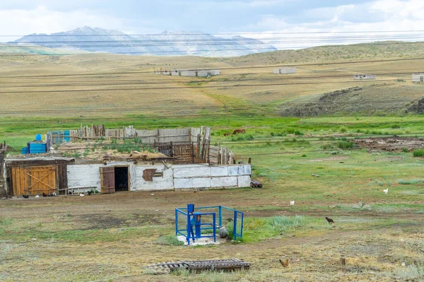 Prairie Veld Veldt Steppe Sans Forêt Pauvre Humidité Avec Végétation — Photo