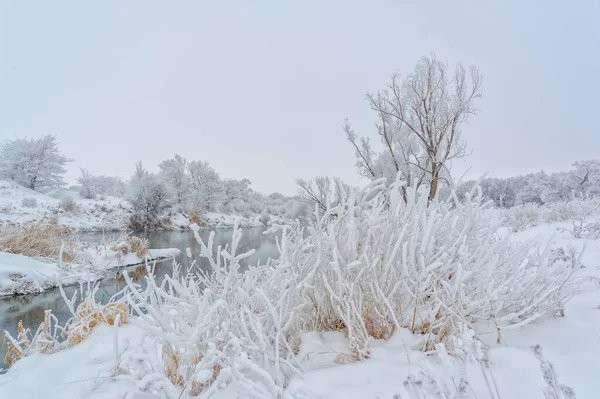 Winter Magic Stunning Frost Ice Adorns Trees Night Icy Fog — Stock Photo, Image