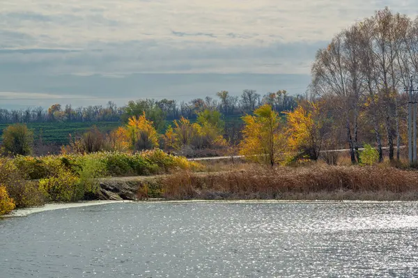 Jesienny Krajobraz Zdjęcie Jeziora Drzewa Częściowo Pokryte Żółtymi Liśćmi Zimna — Zdjęcie stockowe