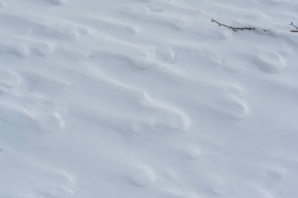 Schnee Bedeckte Den Boden Sonniger Tag Bald Wird Die Warme — Stockfoto