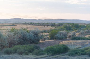 Demiryolu, demiryolu, demiryolu, yükseltilmiş. Step.- bir ulaşım aracıdır ve Büyük Ovalar 'ın raylarında bulunan raylar üzerinde hareket eden kamyonların yolcularıdır. Kazakistan bozkırı harikadır..