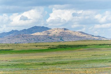 Çayırlık, bozkır ekosistemi, çayırlık, savana ve çalı biyologlarına göre, benzer ılıman bir iklime, ılımlı yağış ve çimen bileşimine dayanan bir çalı biyomu.,