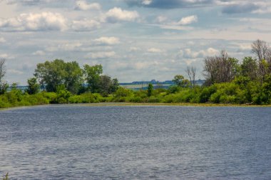 Yaz fotoğrafı. Sel ovaları ya da taşkın ovaları, nehir kıyısında mevsimsel sellere eğilimli bir çayır ya da çayır alanıdır..