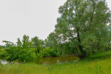 Yaz manzarası, gök gürültülü bulutlar, mavi gökyüzü, sel basmış çayır tarlaları, yaz renklerinin kokusu ve çeşitli kır çiçekleri.