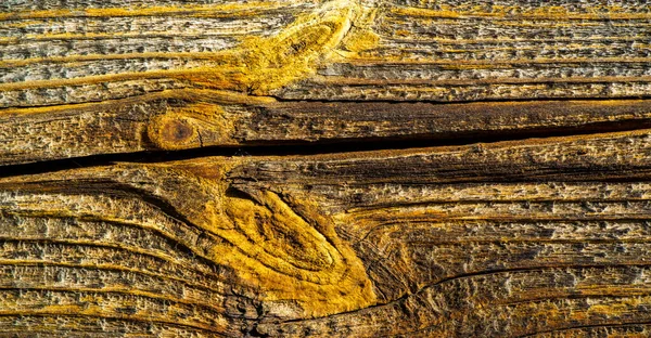 Dry Texture Old Wood High Resolution Backgrounds Patterns Weathered Wood — Stock Photo, Image