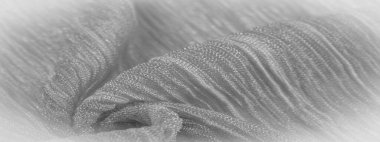 Küçük kıvrımlı ipek renkli ipek kumaş, zemin, bağlam, sevgi, folyo, alan. Doku, arkaplan