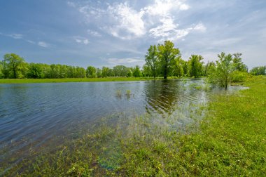 Bahar manzarası. Doğayla iç içe olmak, orman nehri, tasarımın için arka plan uzun ve soğuk bir kıştan sonra daha fazla güneş ışığı ve daha sıcak havanın olması güzel..