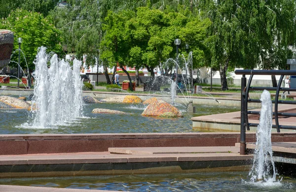 Şehrin Park Alanı Belediye Parklarının Ortak Özellikleri Arasında Oyun Alanları — Stok fotoğraf