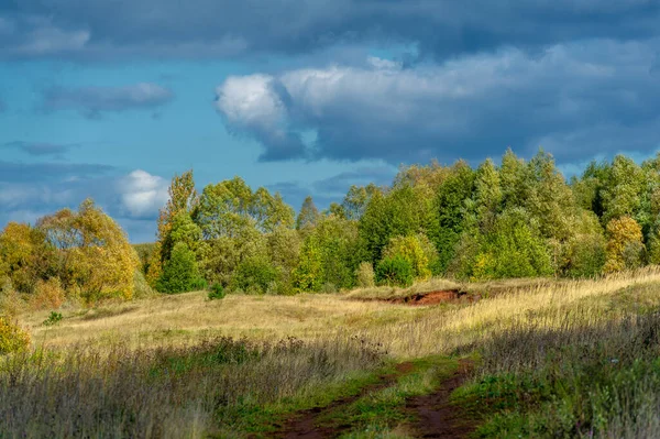 Осеннее Фото Пейзажа Плоская Флора Европы Луга Ущелья Заросли Открытые — стоковое фото