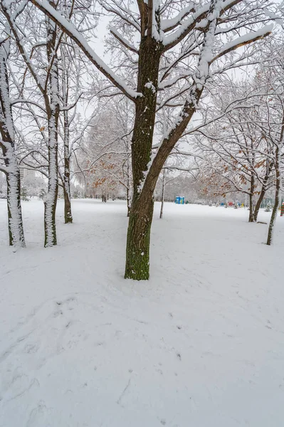 Cuando Nieva Tienes Dos Opciones Palear Esculpir Ángeles Nieve Los —  Fotos de Stock