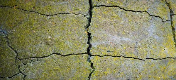 Profundidade Campo Rasa Foto Está Desfocada Concreto Rachado Fissuras Concreto — Fotografia de Stock