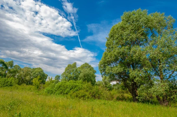 Yaz manzarası, gök gürültülü bulutlar, mavi gökyüzü, sel basmış çayır tarlaları, yaz renklerinin kokusu ve çeşitli kır çiçekleri.