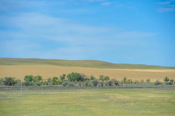 Stepní Prérie Největší Stepní Region Světě Často Označovaný Jako Great — Stock fotografie