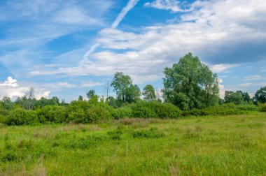 Yaz manzarası, gök gürültülü bulutlar, mavi gökyüzü, sel basmış çayır tarlaları, yaz renklerinin kokusu ve çeşitli kır çiçekleri.