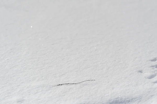 Neve Cobriu Chão Dia Ensolarado Logo Sol Quente Mola Derreterá — Fotografia de Stock