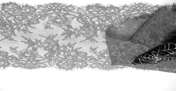 Spitzenstoff Vogelfedern Spitzenfarbe Blassschwarz Auf Weißem Hintergrund Struktur Muster Wenn — Stockfoto