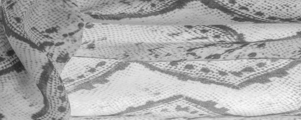 Γκρι Μονόχρωμο Ύφασμα Σχέδιο Snakeskin Υφή Φόντου Από Φωτεινό Γκρι — Φωτογραφία Αρχείου