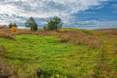 Düş! Sonbahar yansımaları. Sonbahar cazibesinin canlı renk seçimleriyle huzurlu bir ortam. Harika rüya gibi bir dekor. Renkli orman büyük sanat süslemeleri.