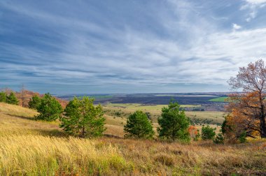 Ormanın canlı sonbahar renkleri bu dijital illüstrasyonda olumlu olarak gösteriliyor. Huş ağacının, akçaağacın ve meşenin muhteşem renkleri nefes kesiciydi.!