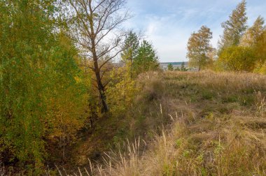 Sonbahar manzara fotoğrafçılığı, sonbahar gözeneklerinin ağaçlarındaki renkli yapraklar, doğanın yarattığı sihir, hayat ağacı, güzel yerler, büyülü ormanlar.