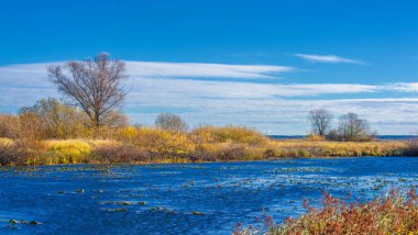 Sonbahar fotoğrafçılığı, nehrin taşkın ovası, ama şimdiye kadar sadece sonbahar altın, ne yağmur ne de rüzgar var, ve altın yaprak yeryüzüne uçuyor, ruhun özlemle doluyor..