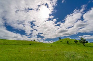 Kar dokusu. Karla kaplı ağaç dalı. Güneşli bir gün. Orta İngilizce, Eski İngiliz snw; Eski Yüksek Alman kar, Latin niv-, nix Yunan nipha benzer.