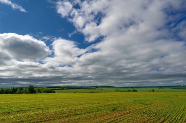 Kar dokusu. Karla kaplı ağaç dalı. Güneşli bir gün. Orta İngilizce, Eski İngiliz snw; Eski Yüksek Alman kar, Latin niv-, nix Yunan nipha benzer.