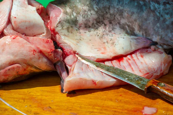 調理用の魚 口の周りのひげに似た釣鐘を持つ淡水魚または海洋魚 一般的に底生生物 — ストック写真