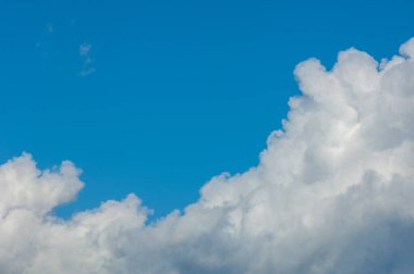Kar dokusu. Karla kaplı ağaç dalı. Güneşli bir gün. Panoramik çekim. Orta İngilizce, Eski İngiliz snw; Eski Yüksek Alman kar, Latin niv-, nix Yunan nipha benzer.