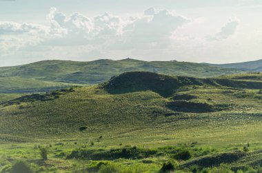 Çayırlık, bozkır ekosistemi, çayırlık, savana ve çalı biyologlarına göre, benzer ılıman bir iklime, ılımlı yağış ve çimen bileşimine dayanan bir çalı biyomu.,