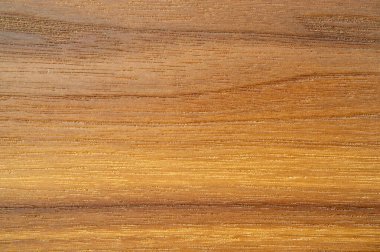 Saf meşe ve kül çatalları, cilalanmış ve emzirilmiş. Tasarım elemanı. Kitap kapağı. Sosyal ağlar. Web tasarımı. Duyuru. Desen arkaplan deseni