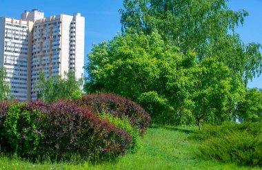 Şehrin park alanı. Belediye parklarının ortak özellikleri arasında oyun alanları, bahçeler, yürüyüş, koşu ve spor yolları veya yollar, dizginleme yolları, spor alanları ve mahkemeler yer alıyor..