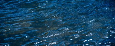 Havuz suyu, hafif bir esinti, güneş ışığı ve sudan gelen dalgalar. Doku. Geçmişi. şablon.