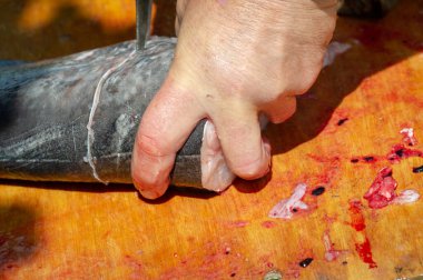 Yemek pişirmek için yayın balığı, tatlı su ya da ağız çevresindeki bıyıklara benzeyen sakallı deniz balığı, tipik olarak dipte yaşayan.