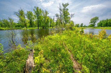 Bahar manzarası. Yeşil ağaçlar. Garden Park Nehri. Doğa manzarası. Fotoğraf için arka plan. Açık hava Turizmi Boş Tatil Turu Vinil Duvar Kağıdı