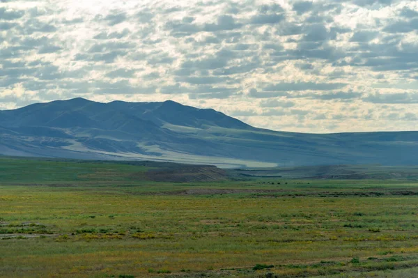 Steppe Prärie Die Größte Steppenregion Der Welt Die Oft Als — Stockfoto