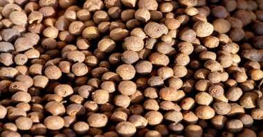 Karabiber - kurutulmuş karabiber böğürtlenleri, hala yeşil ve olgunlaşmamış. Baharat ve baharat olarak yaygın olarak kullanılır ve bir bütün olarak kullanılabilir (biber taneleri)