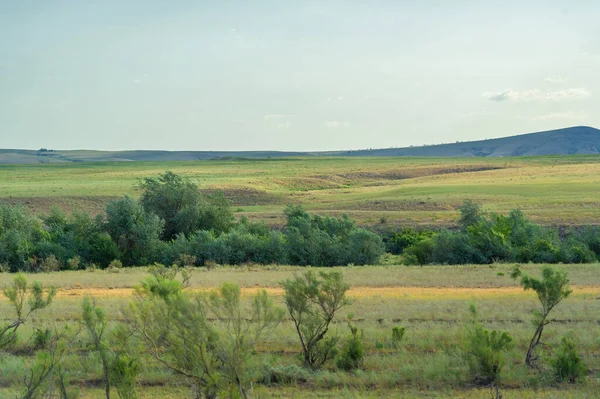 Steppe Prairie Veld Veld Flat Fertile Lands Dominated Grasses Prairie — Stock Photo, Image