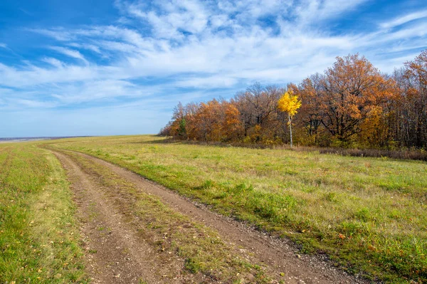 Autumn dirt roads. A canopy of golden yellow tree leaves sets off a dirt road in mid-October. The forests seem to glow with the colors of the Fall. What a wonderful time of the year!