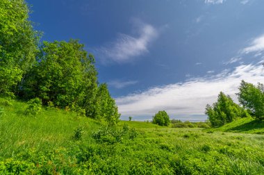 Spring photography, landscape with a cloudy sky. water meadows, floodplains, ravines. an area of low lying ground adjacent to a river, formed mainly of river sediments and subject to flooding.