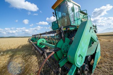 Arpa hasadının yaz fotoğrafı, hasat aracı tarlalarda arpa biçiyor. 2019 09 06 Tukaevsky Bölgesi Tataristan Rusya