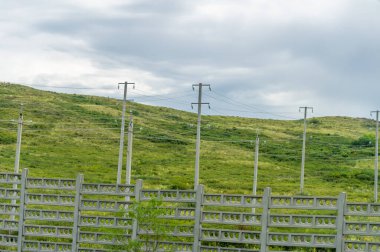 Kuzey ve güney yarımkürenin ılıman ve subtropikal bölgelerinde bozkır, bozkır, veld, veldt. Plato. Tepeler.