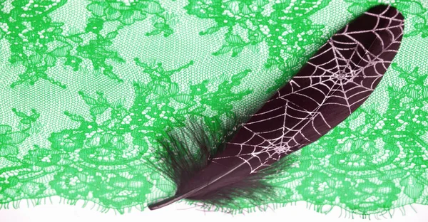 Spitzenstoff Vogelfedern Spitzenfarbe Grün Auf Weißem Hintergrund Struktur Muster Wenn — Stockfoto