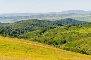 Altai 'deki güzel yaz manzarası. Güneşli bir günde Altai 'deki yeşil çayırlar ve arka planda en tepedeki dağlarla güzel manzarayı izlemek. Ust-Kamenogorsk Ulusal Parkı, Kazakistan