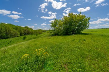 Spring photography, meadows, fields ravines, hills, rural landscape. A deep, narrow gorge with steep slopes. A naturally raised area of land, not as high or craggy as a mountain.